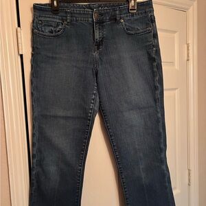 The Limited Straight Leg Jeans in Dark Blue Wash